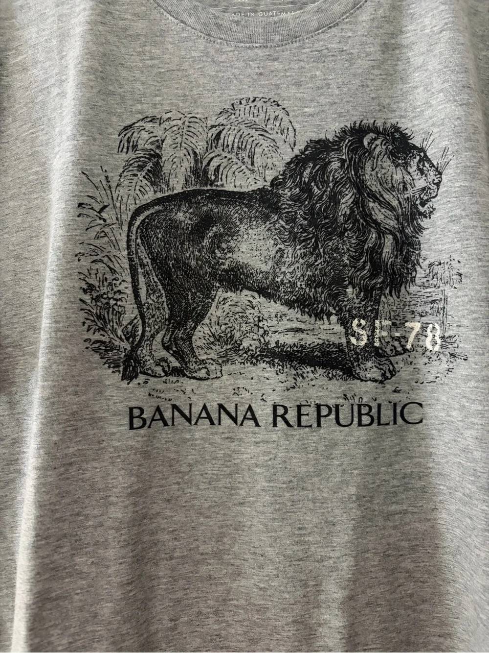 Men’s Banana Republic Graphic Tee